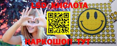 гидропоника Пугачёв