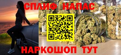 гидропоника Пугачёв