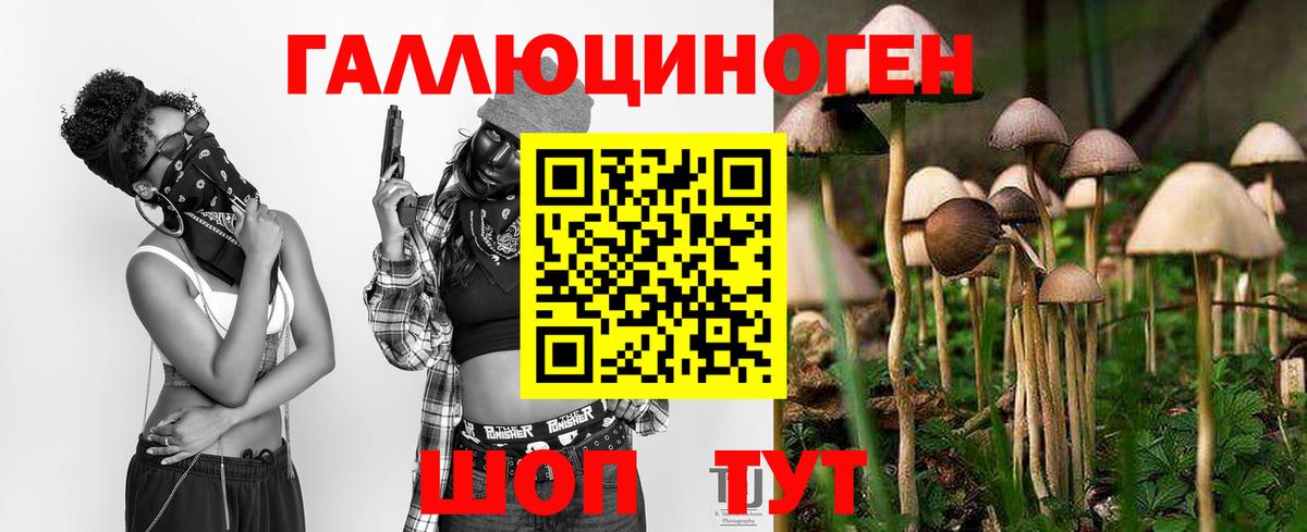 Галлюциногенные грибы GOLDEN TEACHER Печора