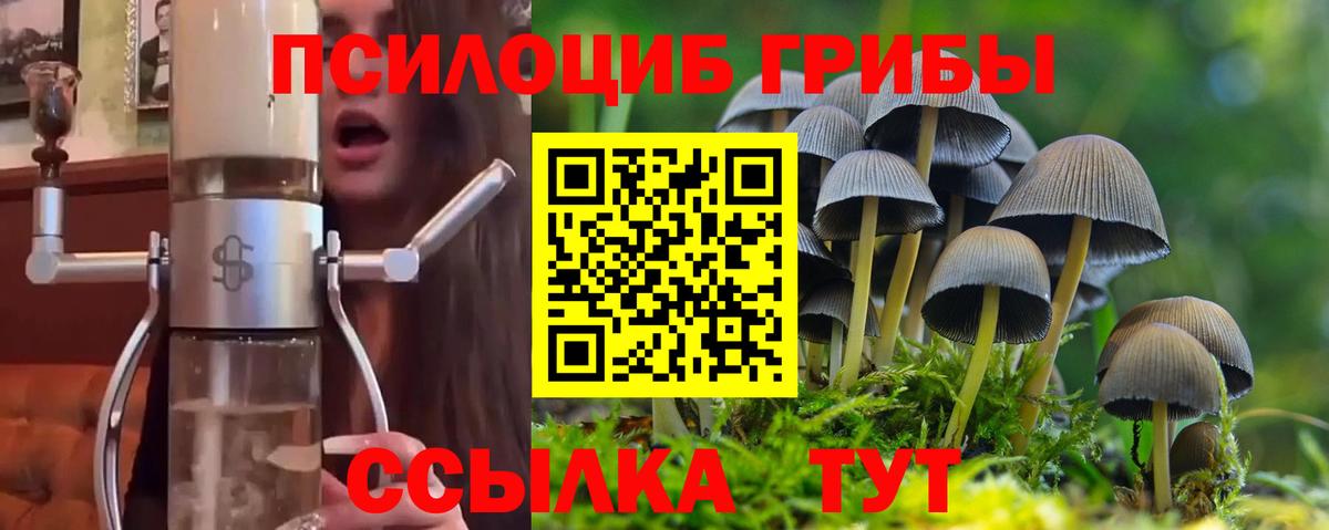 Печора  Псилоцибиновые грибы Psilocybine cubensis  Вход с VPN  Псилоцибиновые грибы Cubensis 